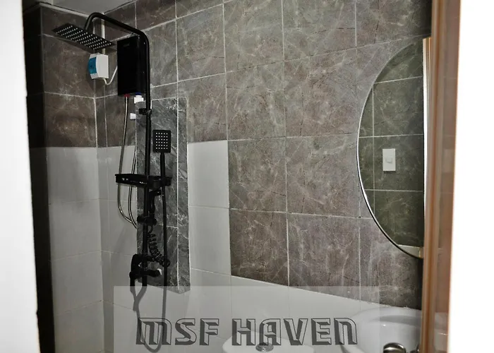 Msf Haven *