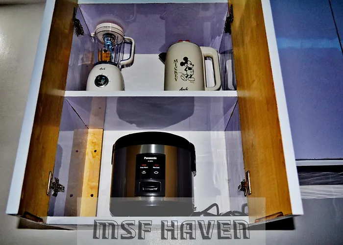 Msf Haven *