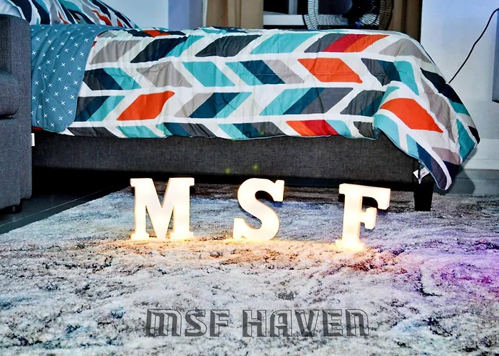 Msf Haven *
